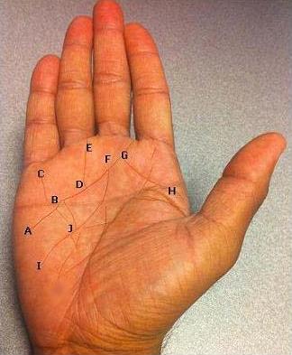 Astro Palmistry Hand