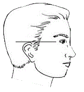 face with ears set low