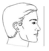 straight face physiognomy