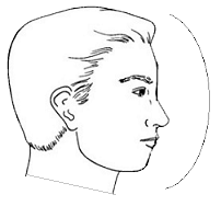 convex face physiognomy