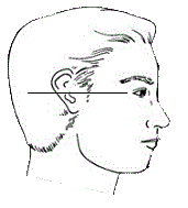 face with ears above