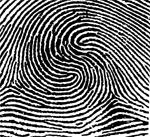 Composite ridge pattern