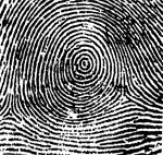 Whorl ridge pattern