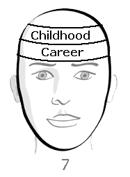 Divisions of Forehead