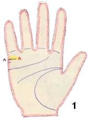palmistry marriage line