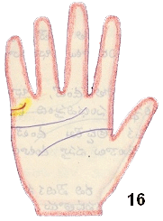 palmistry curved up marriage line