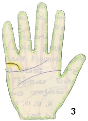palmistry curved married line