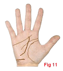 palmistry fate line starting Moon