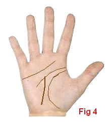 palmistry fate line ending at head